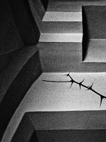 /album/svet-mojim-objektivom/iii-a-jozef-geffert-cesta-hore-1-jpg/